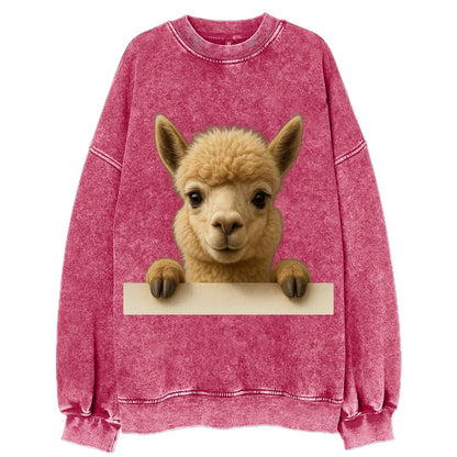 Alpaca  - Vintage Sweatshirt - Pink