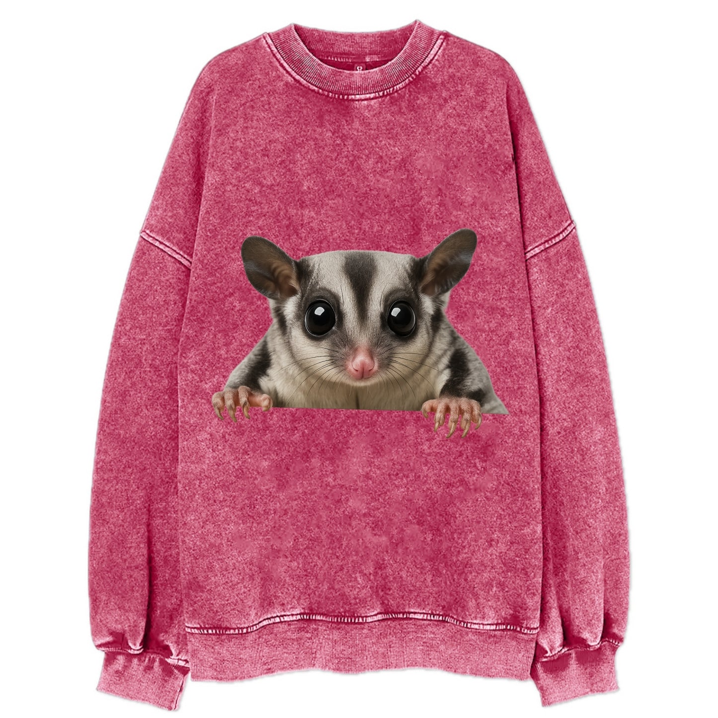 Sugar Glider  - Vintage Sweatshirt - Pink