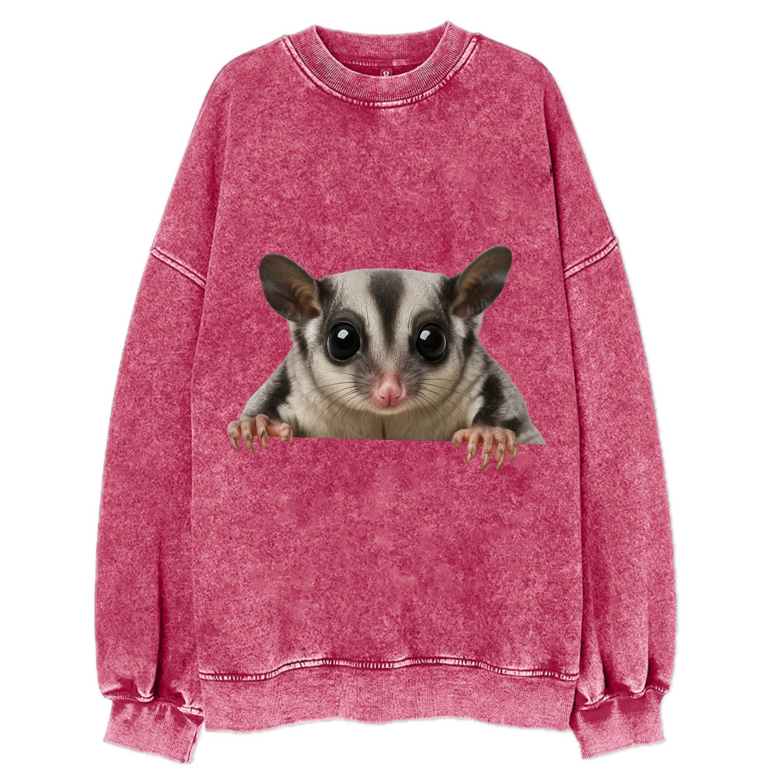 Sugar Glider  - Vintage Sweatshirt - Pink