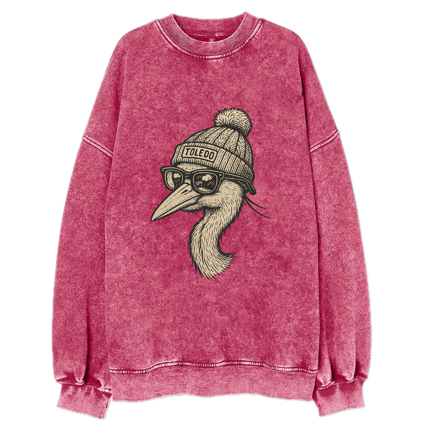 Toledo Great Blue Heron wearing Toledo beanie with pom pom and wayfarer - Vintage Sweatshirt - Pink