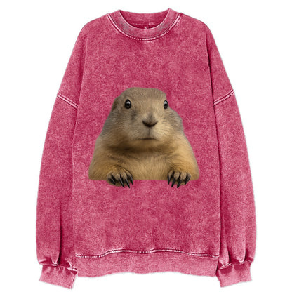 Prairie Dog  - Vintage Sweatshirt - Pink