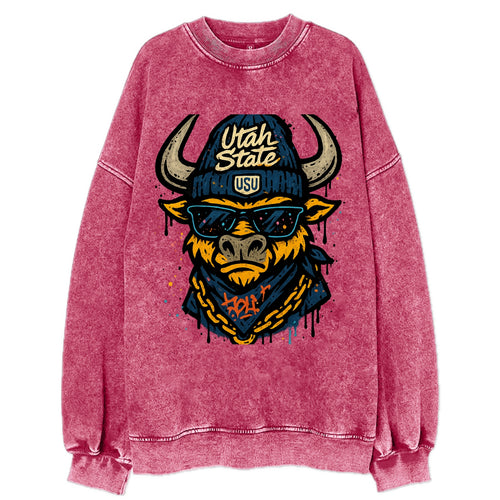 Logan Aggie wearing Utah State beanie with USU patch - Vintage Sweatshirt