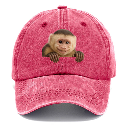 Capuchin Monkey  - Classic Cap - Pomegranate Blush(Pink)
