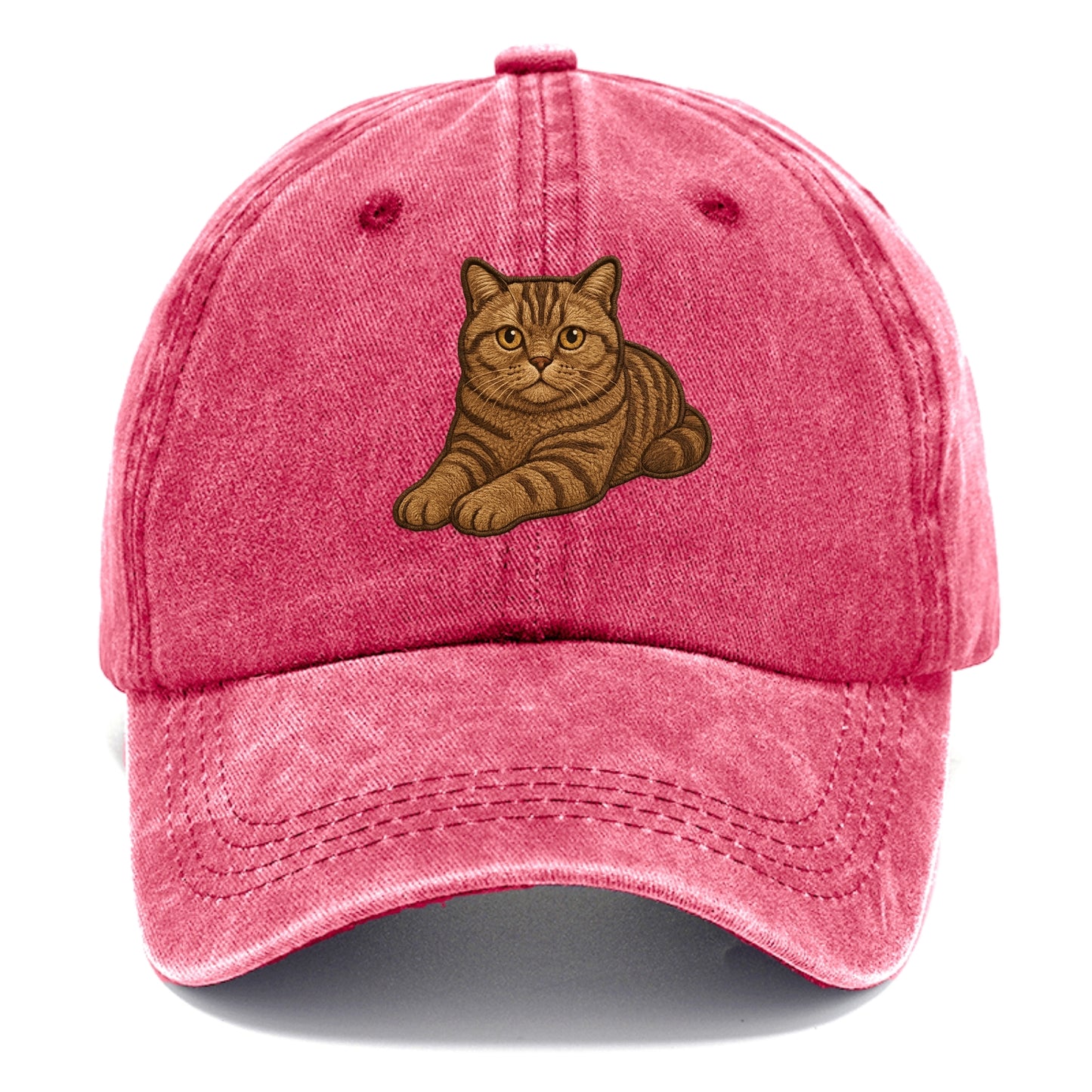 British Shorthair  relaxed lying down wi Classic Cap - Pomegranate Blush(Pink)