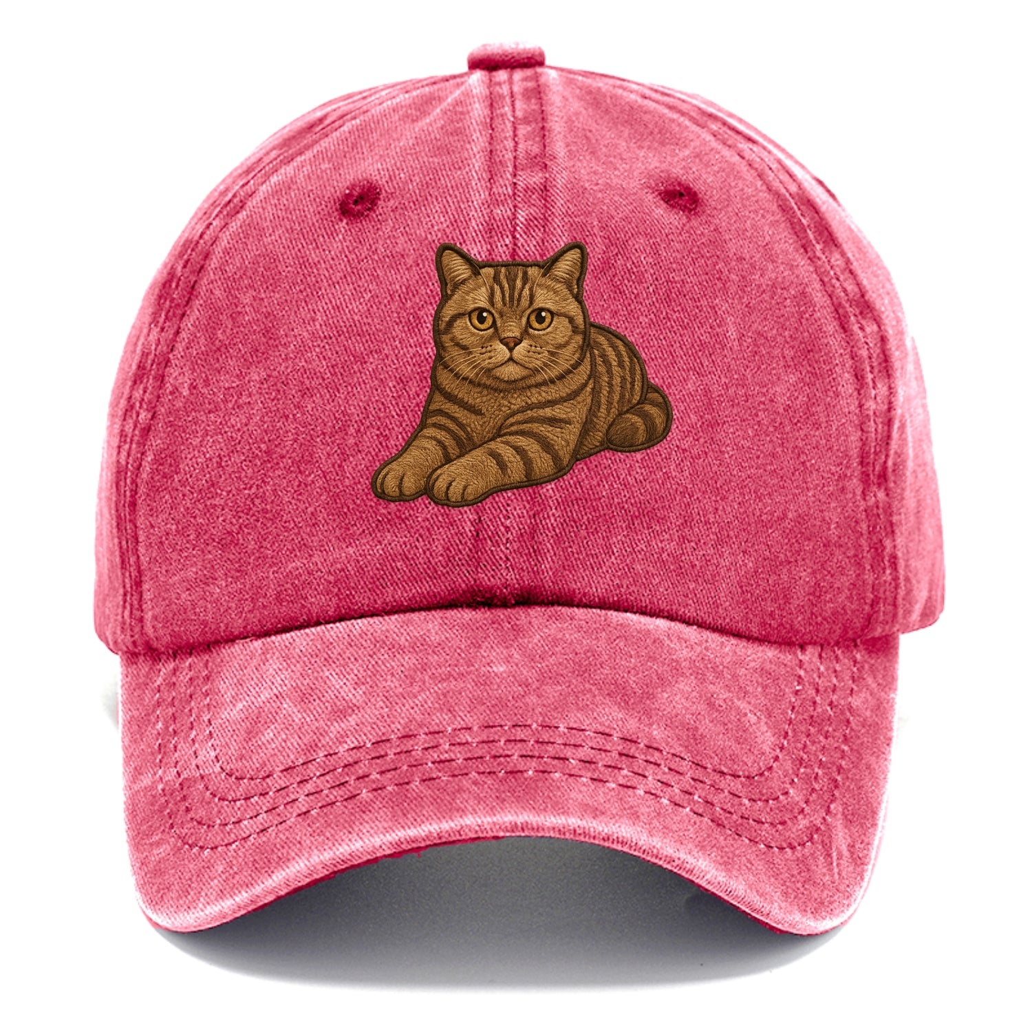 British Shorthair  relaxed lying down wi Classic Cap - Pomegranate Blush(Pink)