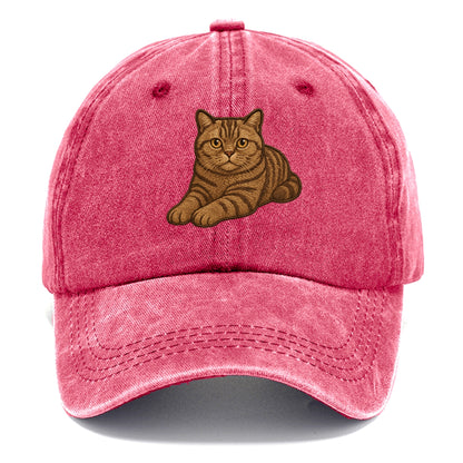 British Shorthair  relaxed lying down wi Classic Cap - Pomegranate Blush(Pink)