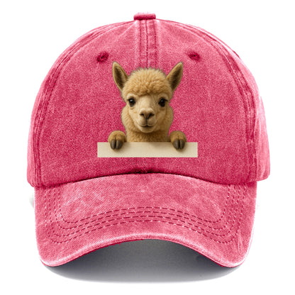 Alpaca  - Classic Cap - Pomegranate Blush(Pink)