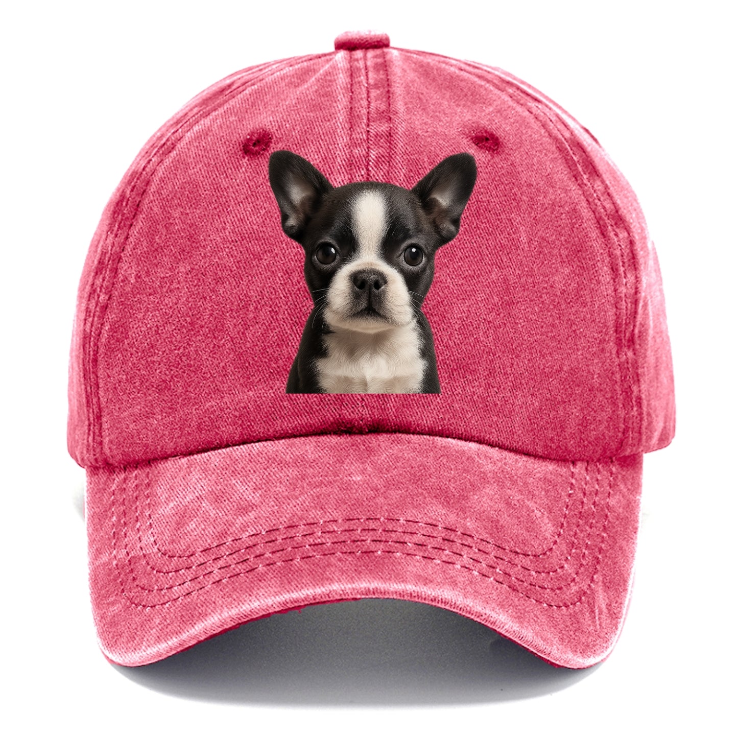 Baby Boston Terrier Puppy - tuxedo markings, big round eyes, bat ears, front-facing, - Classic Cap - Pomegranate Blush(Pink)