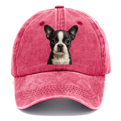 Baby Boston Terrier Puppy - tuxedo markings, big round eyes, bat ears, front-facing, - Classic Cap - Pomegranate Blush(Pink)