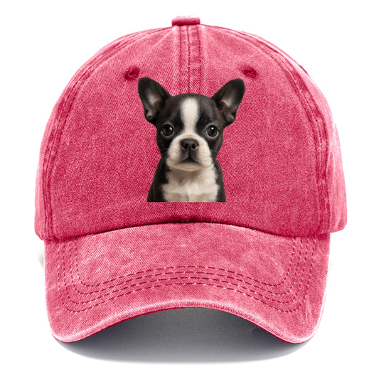 Baby Boston Terrier Puppy - tuxedo markings, big round eyes, bat ears, front-facing, - Classic Cap - Pomegranate Blush(Pink)