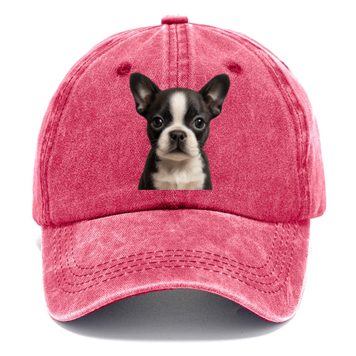 Baby Boston Terrier Puppy - tuxedo markings, big round eyes, bat ears, front-facing, - Classic Cap