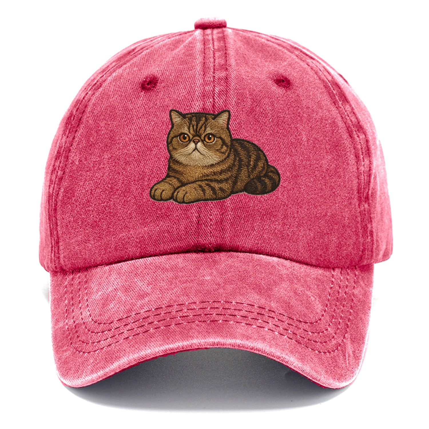 Exotic Shorthair  relaxed lying down wit Classic Cap - Pomegranate Blush(Pink)