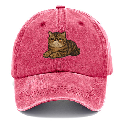 Exotic Shorthair  relaxed lying down wit Classic Cap - Pomegranate Blush(Pink)