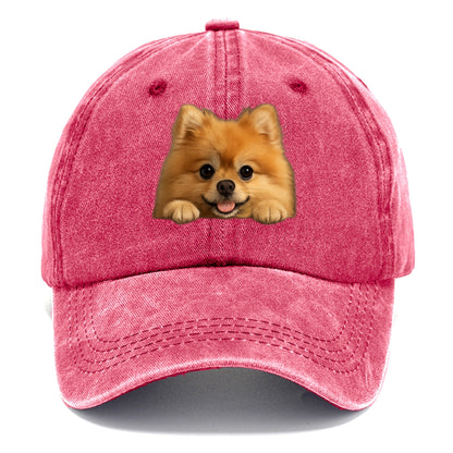 Pomeranian  - Classic Cap - Pomegranate Blush(Pink)