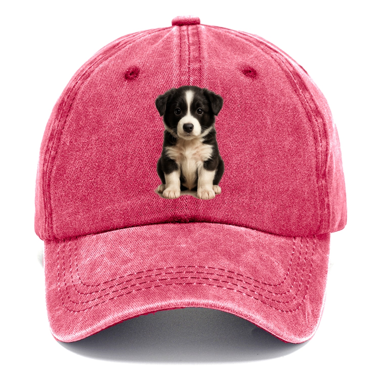 Baby Border Collie Puppy - black and white, intense smart eyes, athletic build, - Classic Cap - Pomegranate Blush(Pink)