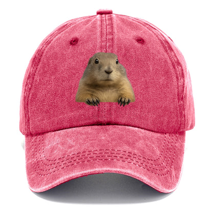 Prairie Dog  - Classic Cap - Pomegranate Blush(Pink)