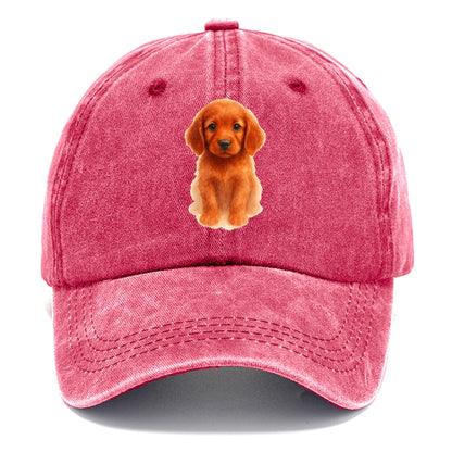 Baby Irish Setter Puppy - mahogany red coat, feathered ears, friendly eyes, - Classic Cap - Pomegranate Blush(Pink)