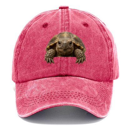 Tortoise  - Classic Cap - Pomegranate Blush(Pink)