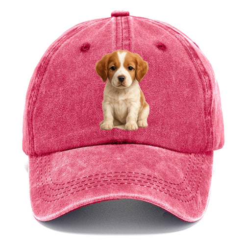 Baby Brittany Puppy - orange and white, compact, bright eyes, feathered, - Classic Cap