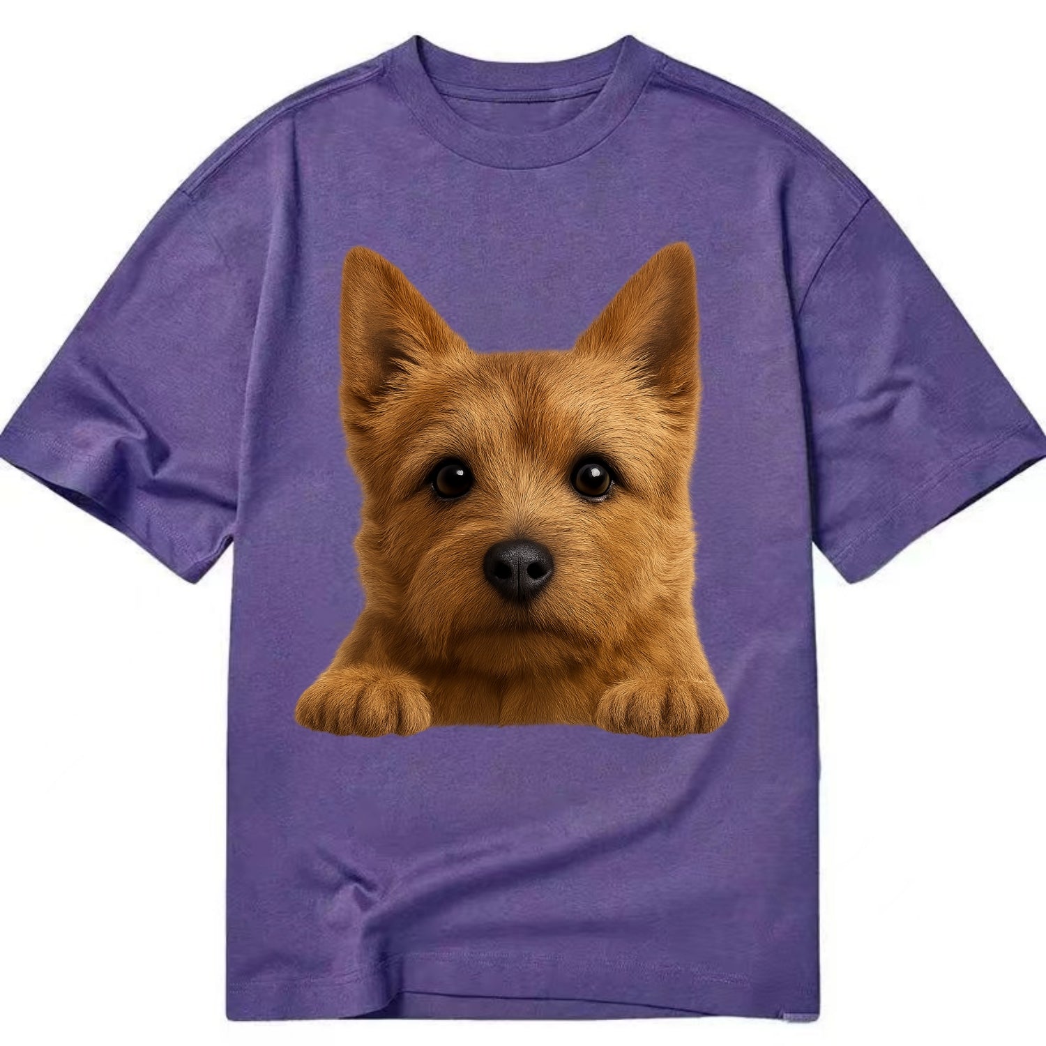 Norwich Terrier  - Classic T-shirt - Purple
