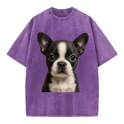 Baby Boston Terrier Puppy - tuxedo markings, big round eyes, bat ears, - Vintage T-shirt - Purple