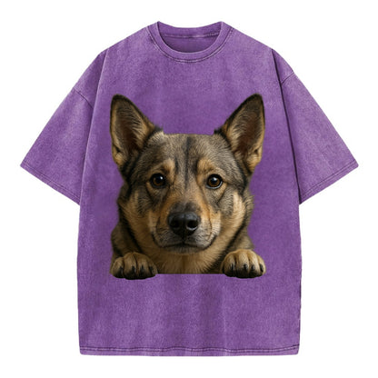 Swedish Vallhund  - Vintage T-shirt - Purple