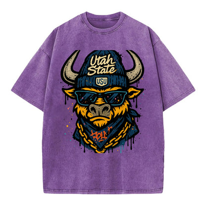 Logan Aggie wearing Utah State beanie with USU patch - Vintage T-shirt - Purple