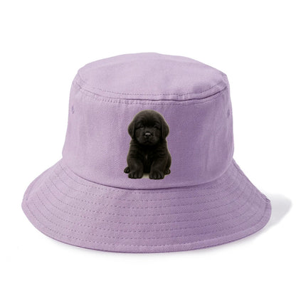 Baby Newfoundland Puppy - giant fluffy black, gentle eyes, webbed paws, front-facing, - Bucket Hat - Purple