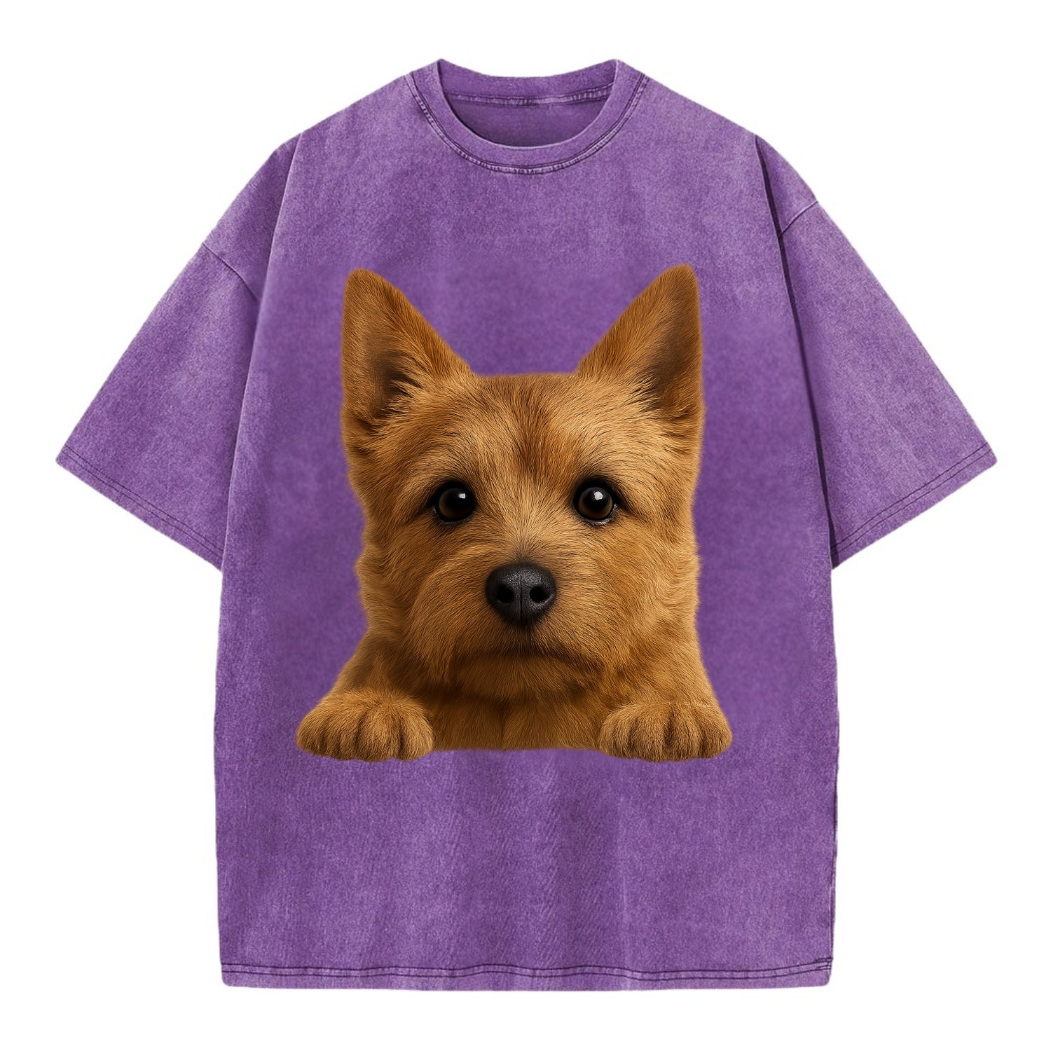 Norwich Terrier  - Vintage T-shirt - Purple