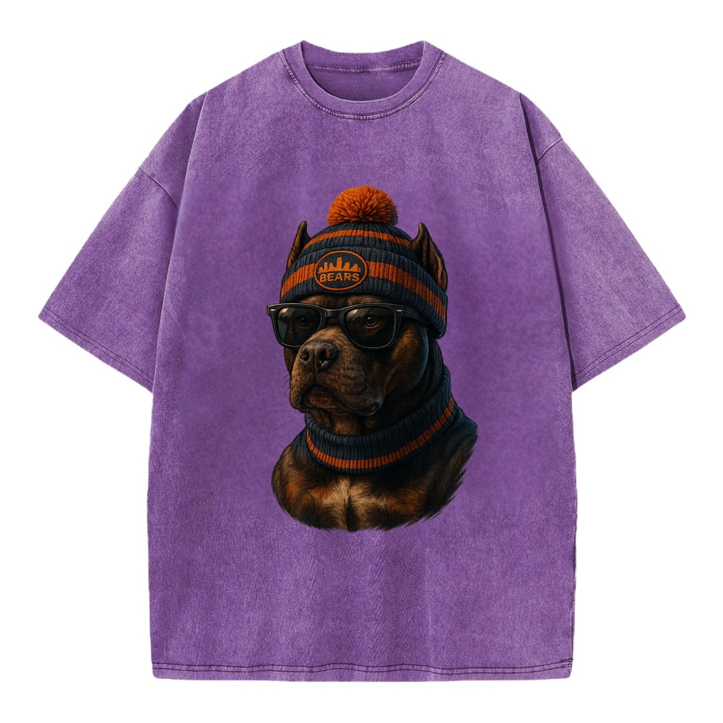 Chicago Pitbull wearing Bears beanie with skyline patch and wayfarer sunglasses - Vintage T-shirt - Purple