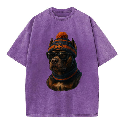 Chicago Pitbull wearing Bears beanie with skyline patch and wayfarer sunglasses - Vintage T-shirt - Purple