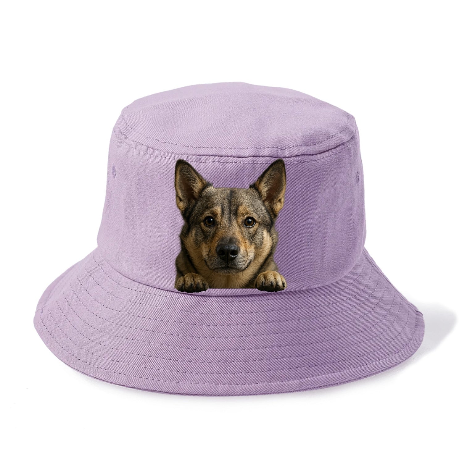 Swedish Vallhund  - Bucket Hat - Purple