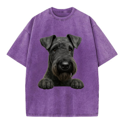 Kerry Blue Terrier  - Vintage T-shirt - Purple