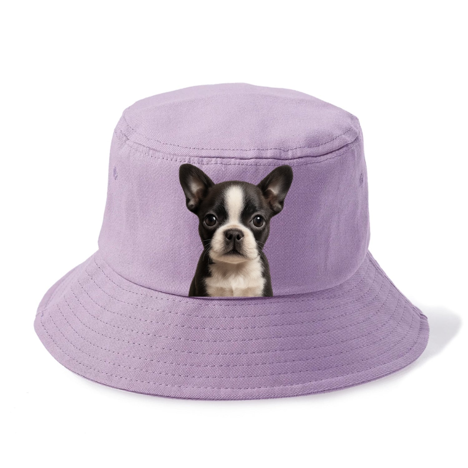 Baby Boston Terrier Puppy - tuxedo markings, big round eyes, bat ears, front-facing, - Bucket Hat - Purple
