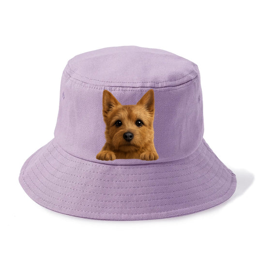 Norwich Terrier  - Bucket Hat - Purple