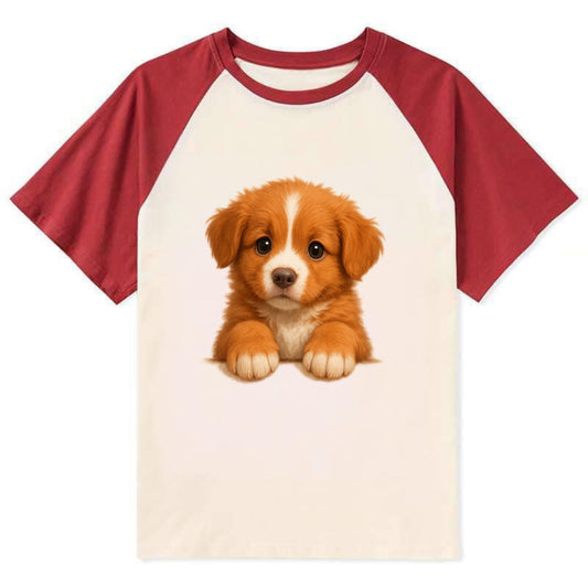 Nova Scotia Duck Tolling Retriever  - Co - Contrast Raglan T-shirt - Red