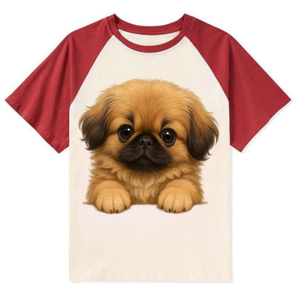 Pekingese  - Contrast Raglan T-shirt - Red