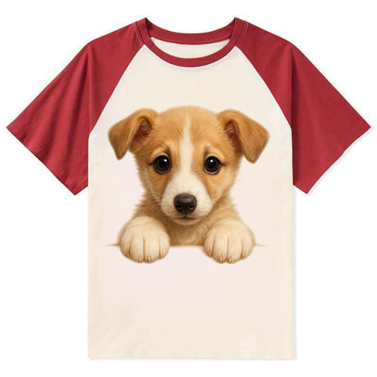 Whippet  - Contrast Raglan T-shirt - Red