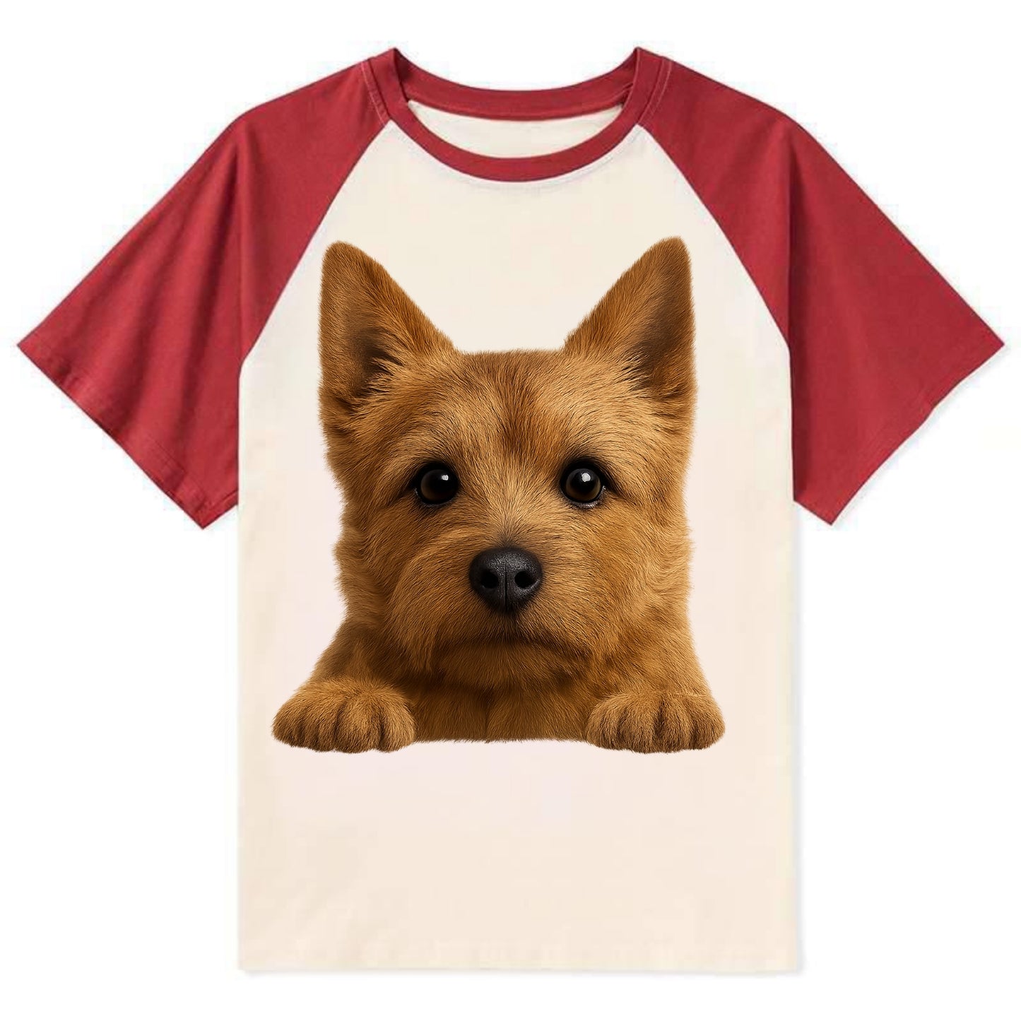 Norwich Terrier  - Contrast Raglan T-shirt - Red