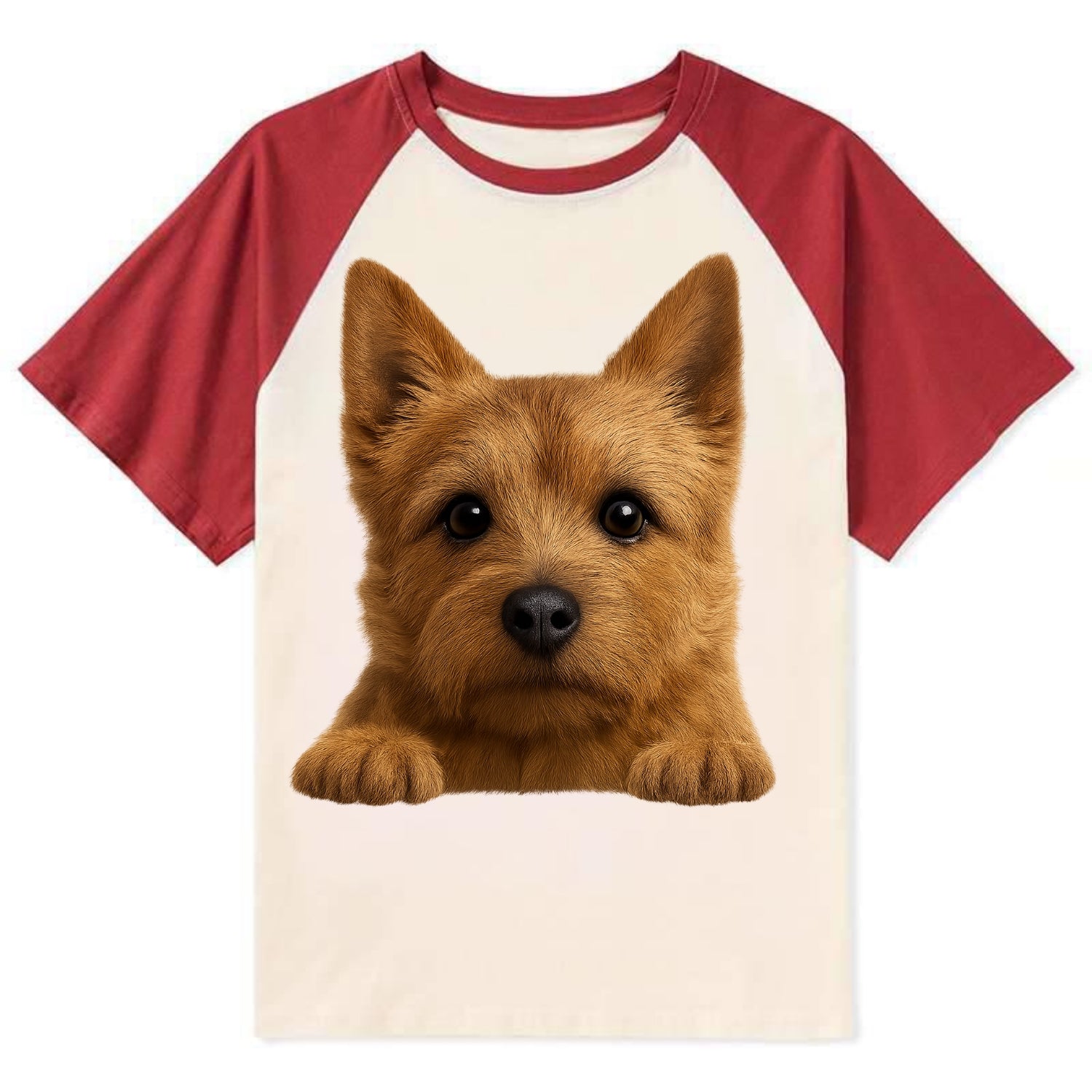 Norwich Terrier  - Contrast Raglan T-shirt - Red