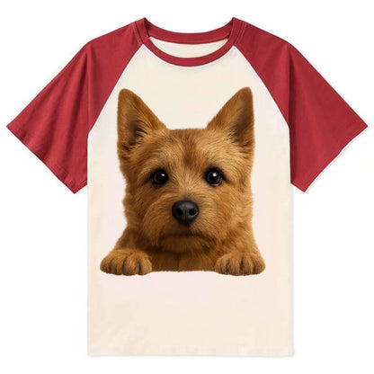 Norwich Terrier  - Contrast Raglan T-shirt - Red