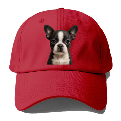 Baby Boston Terrier Puppy - tuxedo markings, big round eyes, bat ears, front-facing, - Baseball Cap