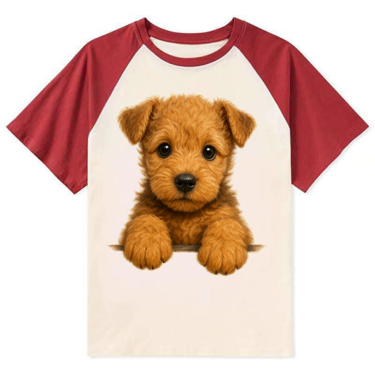 Lakeland Terrier  - Contrast Raglan T-shirt - Red