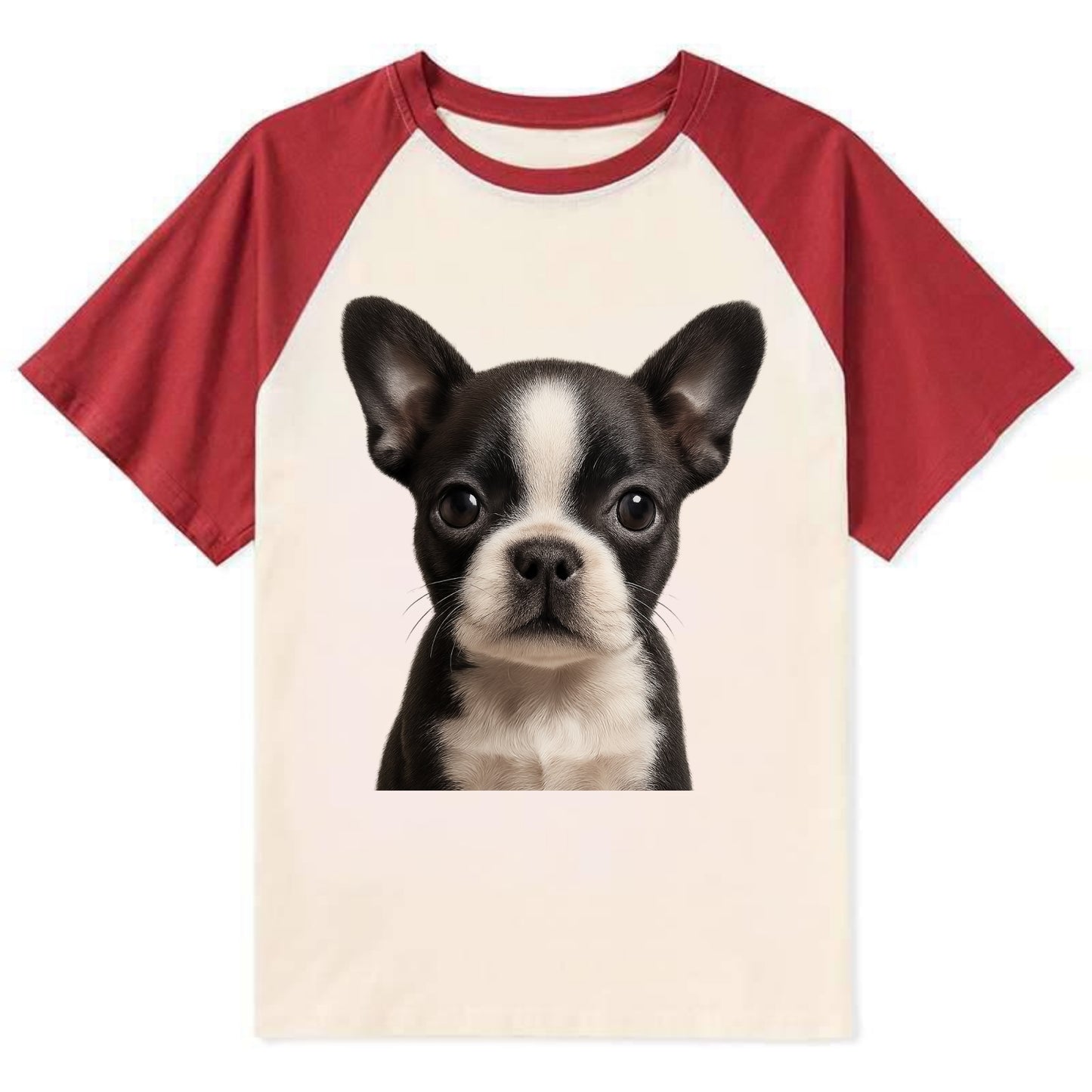 Baby Boston Terrier Puppy - tuxedo markings, big round eyes, bat ears, - Contrast Raglan T-shirt - Red