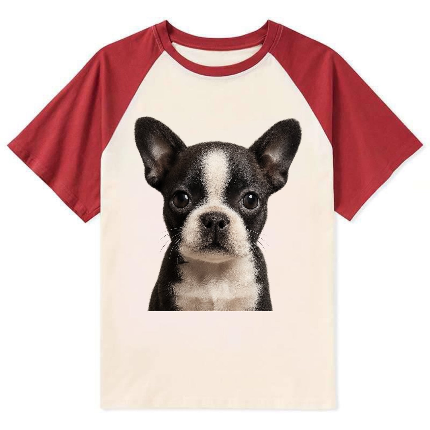 Baby Boston Terrier Puppy - tuxedo markings, big round eyes, bat ears, - Contrast Raglan T-shirt - Red