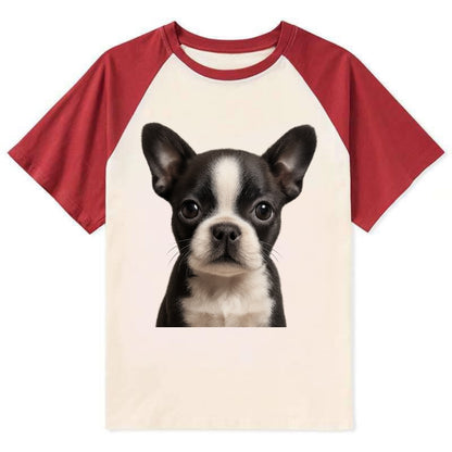 Baby Boston Terrier Puppy - tuxedo markings, big round eyes, bat ears, - Contrast Raglan T-shirt - Red