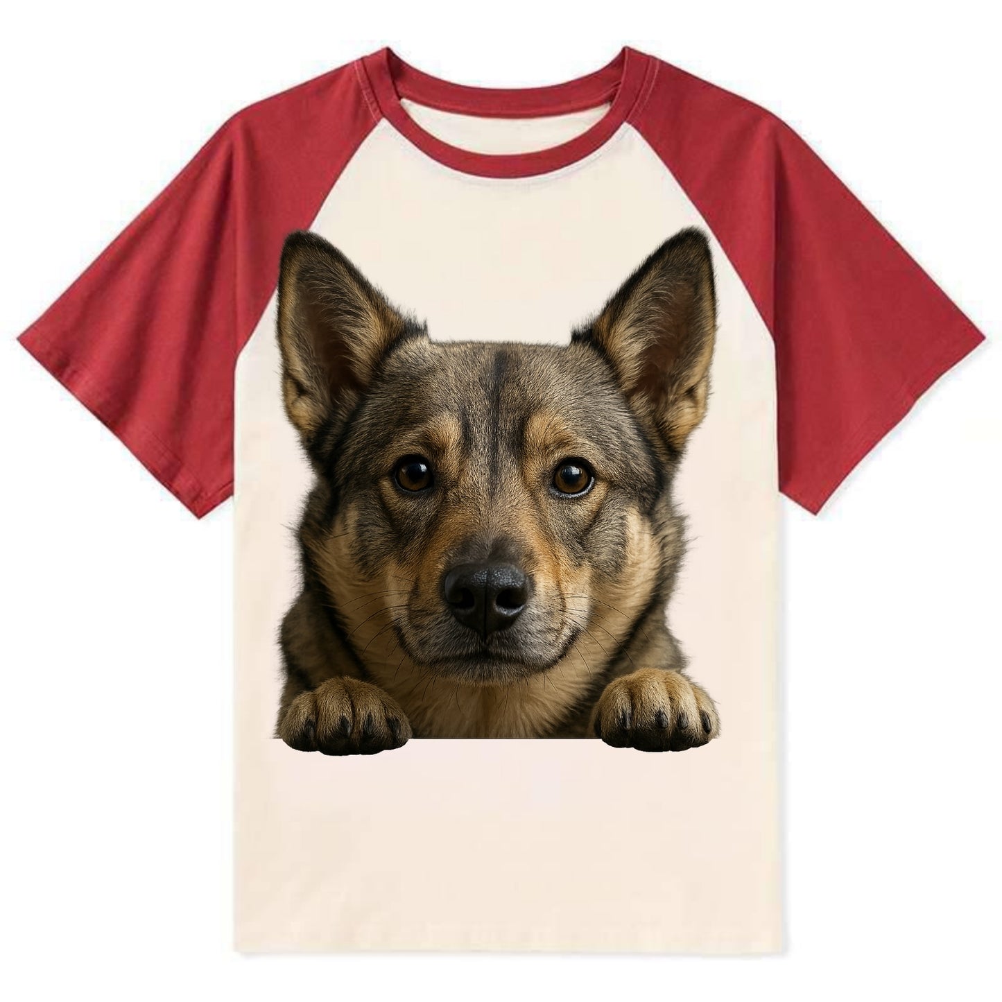 Swedish Vallhund  - Contrast Raglan T-shirt - Red