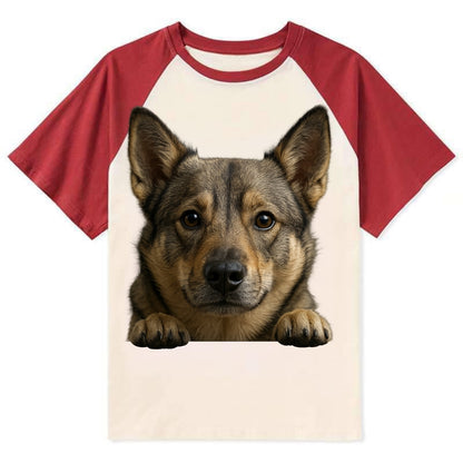 Swedish Vallhund  - Contrast Raglan T-shirt - Red