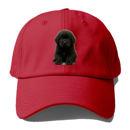 Baby Newfoundland Puppy - giant fluffy black, gentle eyes, webbed paws, - Baseball Cap - Red