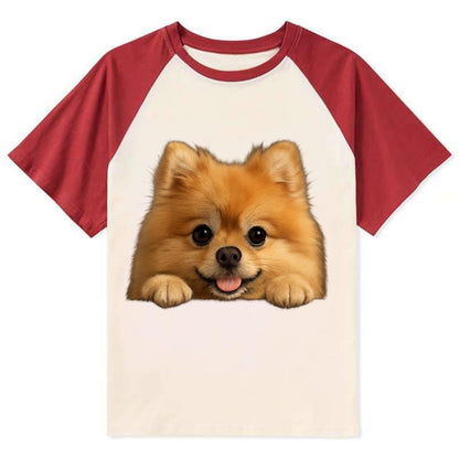 Pomeranian  - Contrast Raglan T-shirt - Red